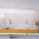 7 κλουβια πουλιών 10 ευρώ το καθενα πωλούνται και μεμονωμένα