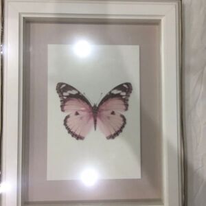 Κορνίζα τοίχου κάδρο με πεταλούδα