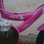 Orient Molly Παιδικό Ποδήλατο