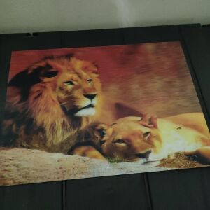 3D Κορνιζα - Λιονταρια Στη Σαββανα