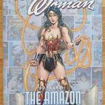 Wonder Woman: 80 Years of the Amazon Warrior the Deluxe Edition