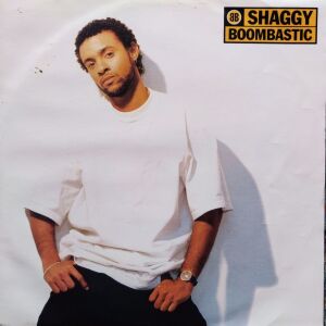 Shaggy - Boombastic 12"