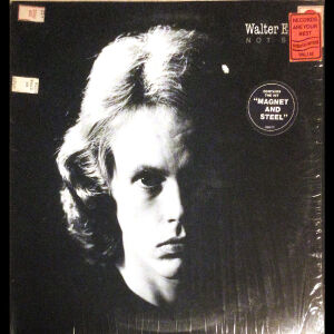Walter Egan - Not shy (LP) 1978