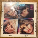POISON look what the cat dragged VINYL LP