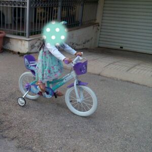 Dino Bikes Elsa παιδικό ποδήλατο 14"