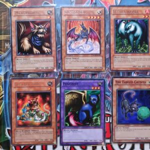 Cats Yu-Gi-Oh 6 Cards Bundle