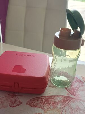Σετ παιδικό Tupperware, μπουκάλι 350 ml και δοχείο για σάντουιτς