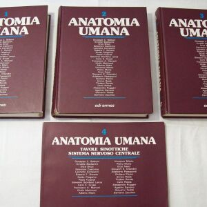 E.E Anatomia Umana, 3a Edizione, Hard Cover, edi-ermes