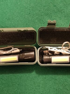Set of 2 small rechargeable LED COB flashlights with USB cable and plastic carrying case