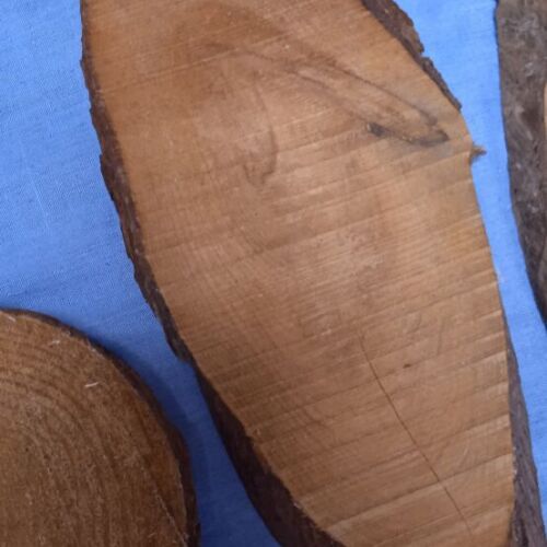 Wood pieces for painting
