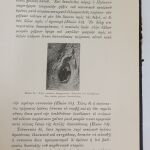 Ο Παρθενικός υμήν, ο Μηχανισμός της Ανοσίας, αι κατά τας Δηλητηριάσεις Ιατροδικαστικαί Φροντίδες 1910