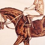 Αναβάτης σε Άλογο - Πίνακας Πυρογραφίας