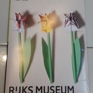 Folding tulips - Jacob Marrel (Origami )