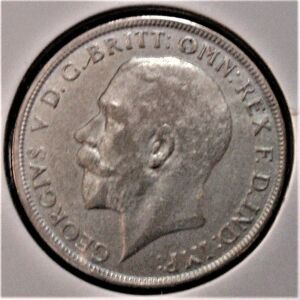 1 Florin 1920 - George V 2nd issue.