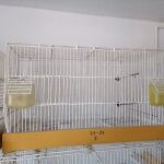 7 κλουβια πουλιών 10 ευρώ το καθενα πωλούνται και μεμονωμένα