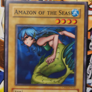 Amazon of the Seas