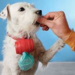 Θήκη για σακουλάκια υγιεινής για σκύλους (15 σακουλάκια)