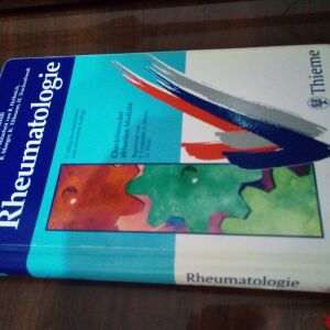 Checkliste Rheumatologie Klaus L. Schmidt (2000) - Handbuch/Handbook/Pocketbook- Thieme