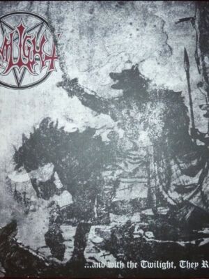 Twilight And With The Twilight They Return LP βινύλιο μεταχειρισμένο, metal
