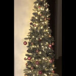 Πωλείται Χριστουγεννιάτικο Δέντρο