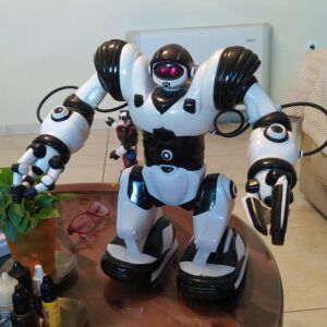 Ρομποτικό παιχνίδι Roboactor