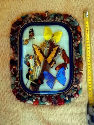 Vintage κάδρο με 7 αληθινές πεταλούδες taxidermy και κορνίζα από φυσικά πετρώματα