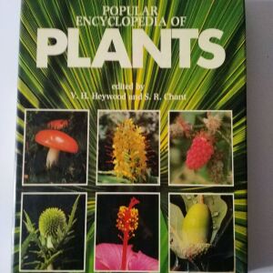Popular Encyclopedia Plant, Heywood