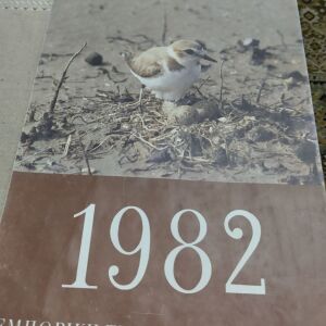 Ημερολόγιο τοίχου 1982 ΕΜΠΟΡΙΚΗ ΤΡΑΠΕΖΑ ΤΗΣ ΕΛΛΑΔΟΣ